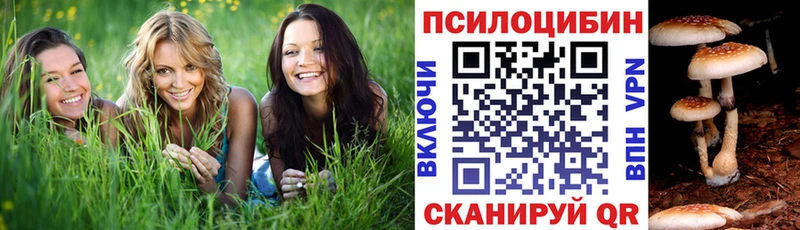 Галлюциногенные грибы GOLDEN TEACHER  Купить где  Невельск 